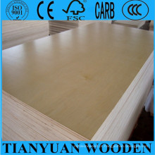 12mm Fábrica de Venda C / D Grade Birch Plywood Poplar Core